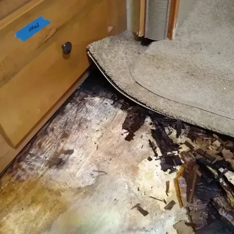 Wood Floor Water Damage in Maple Shade, NJ